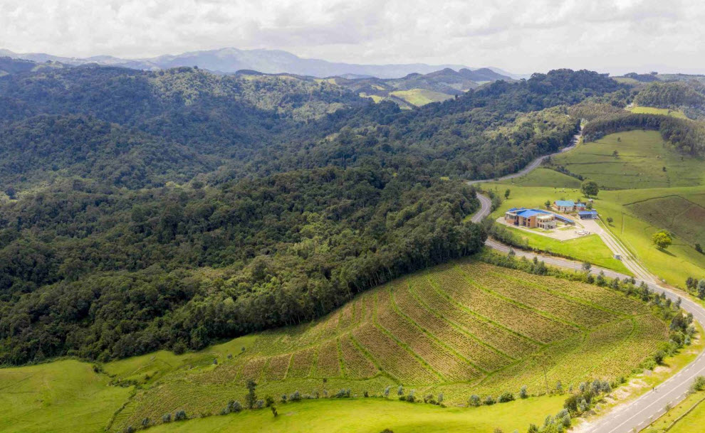 Gishwati-Mukura National Park, Rutsiro & Ngororero, Western Province, Rwanda